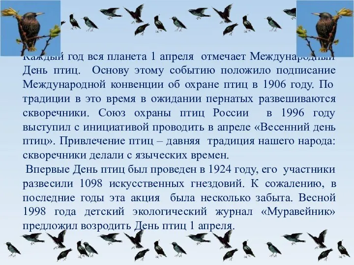 Каждый год вся планета 1 апреля отмечает Международный День птиц.