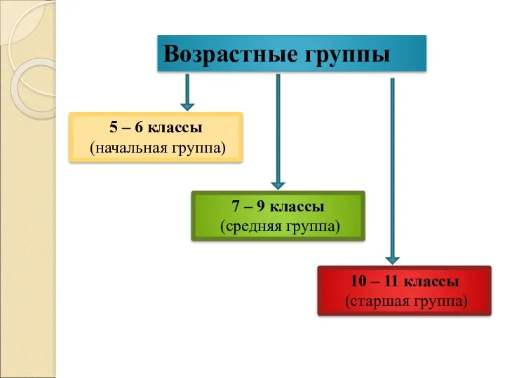 Возрастные группы 5 – 6 классы (начальная группа) 7 –