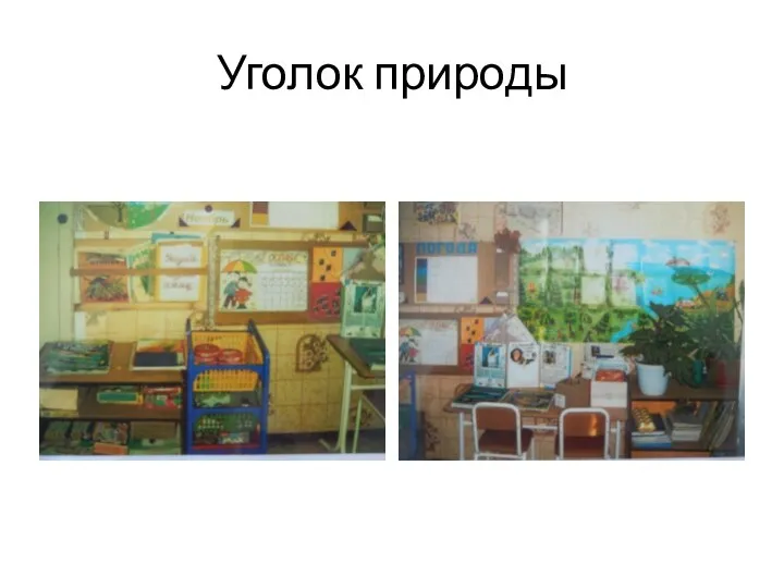 Уголок природы