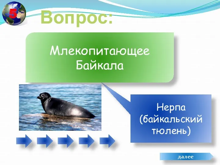 Вопрос: Нерпа (байкальский тюлень) Млекопитающее Байкала далее