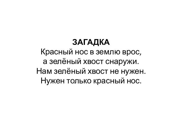 ЗАГАДКА Красный нос в землю врос, а зелёный хвост снаружи.