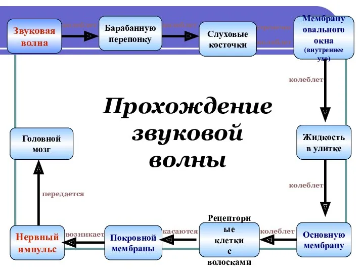 Прохождение звуковой волны