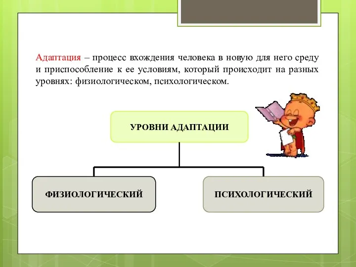 Адаптация – процесс вхождения человека в новую для него среду и приспособление к