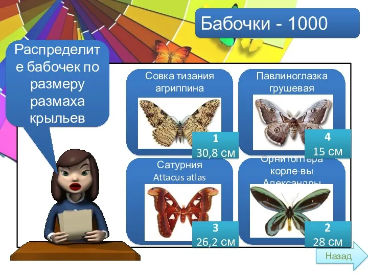 Бабочки - 1000 Распределите бабочек по размеру размаха крыльев Совка тизания агриппина Назад