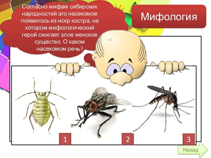Мифология Согласно мифам сибирских народностей это насекомое появилось из искр костра, на котором