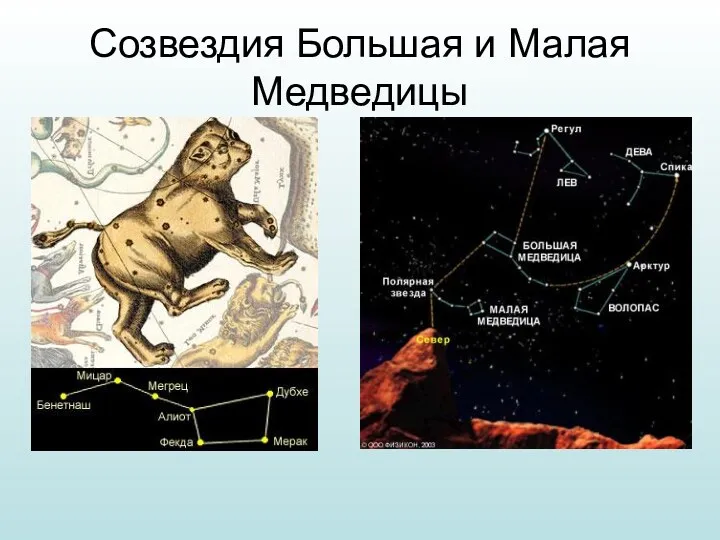 Созвездия Большая и Малая Медведицы