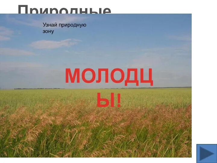 Много птиц, мелких животных, насекомых. Жарко, сухо летом. Плодородные почвы. Природные зоны МОЛОДЦЫ! Узнай природную зону