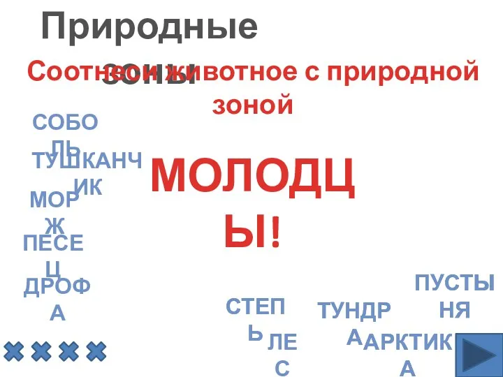 Природные зоны Соотнеси животное с природной зоной соболь тушканчик морж