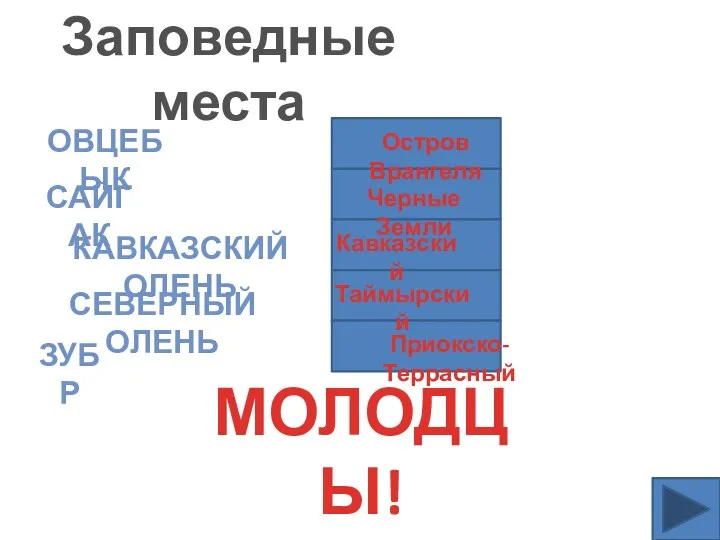 Заповедные места овцебык сайгак Кавказский олень Северный олень зубр Остров