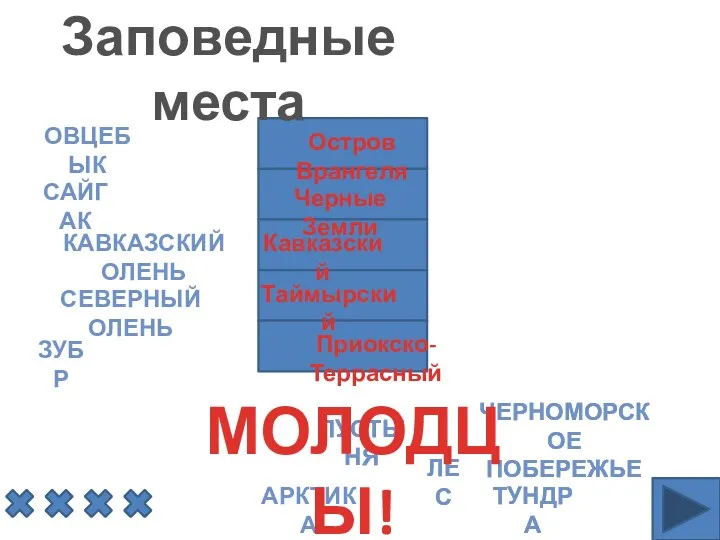 овцебык сайгак Кавказский олень Северный олень зубр Остров Врангеля Черные