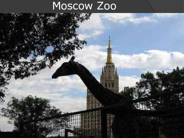 Moscow Zoo