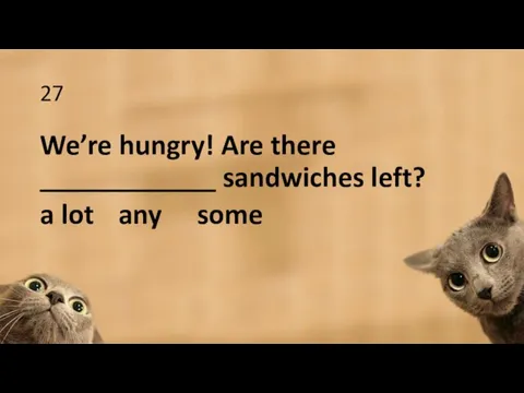 27 We’re hungry! Are there ____________ sandwiches left? a lot any some