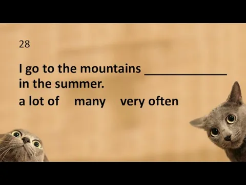 28 I go to the mountains ____________ in the summer. a lot of many very often