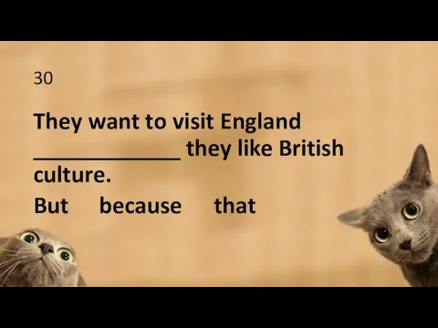 30 They want to visit England ____________ they like British culture. But because that