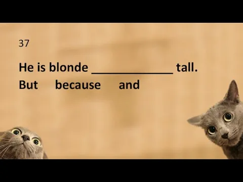 37 He is blonde ____________ tall. But because and