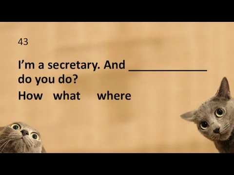43 I’m a secretary. And ____________ do you do? How what where
