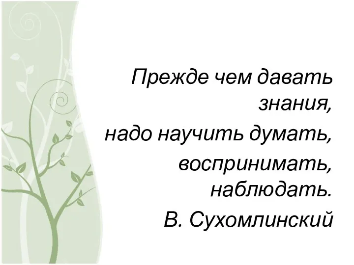 Прежде чем давать знания, надо научить думать, воспринимать, наблюдать. В. Сухомлинский