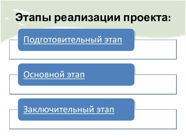 Этапы реализации проекта: