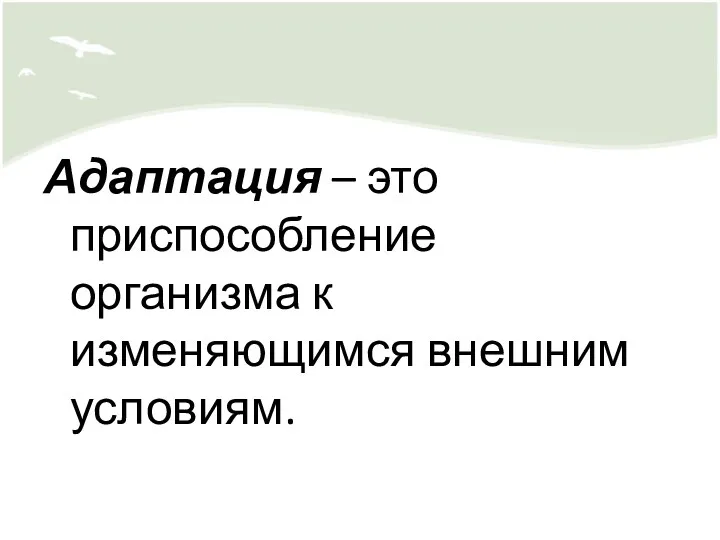 Адаптация – это приспособление организма к изменяющимся внешним условиям.