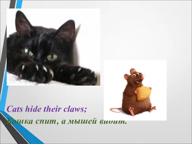 Cats hide their claws; Кошка спит, а мышей видит.