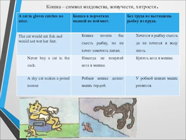 Кошка – символ колдовства, живучести, хитрости.