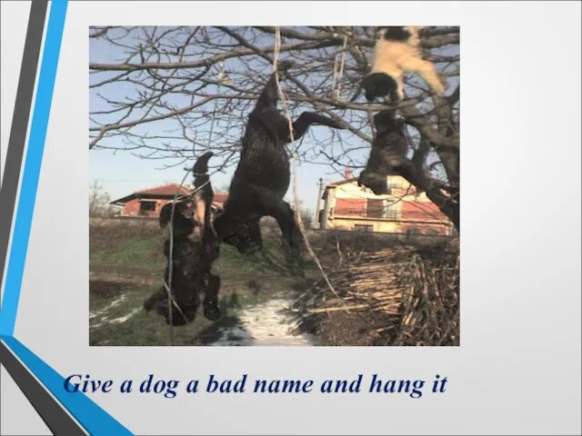 Give a dog a bad name and hang it