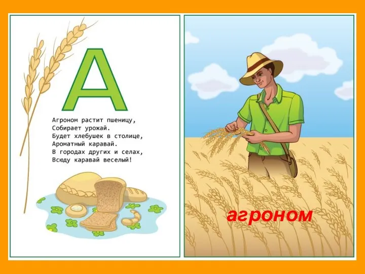 агроном