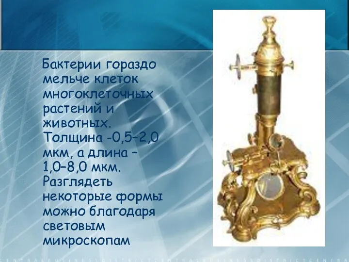 Бактерии гораздо мельче клеток многоклеточных растений и животных. Толщина -0,5–2,0