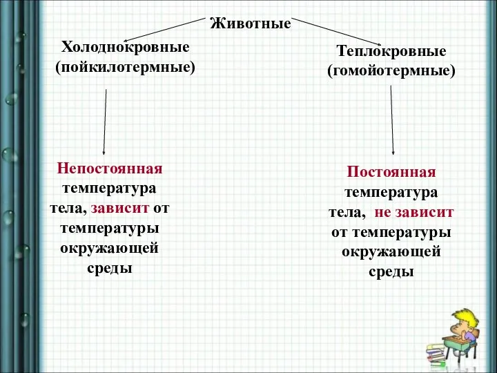 Животные Теплокровные (гомойотермные) Холоднокровные (пойкилотермные) Непостоянная температура тела, зависит от