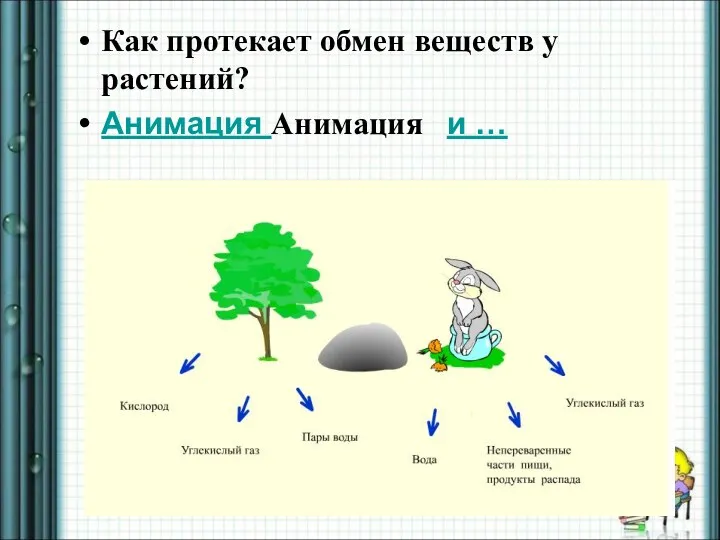 Как протекает обмен веществ у растений? Анимация Анимация и …