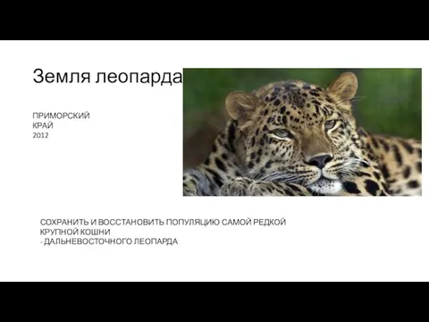 Земля леопарда ПРИМОРСКИЙ КРАЙ 2012 СОХРАНИТЬ И ВОССТАНОВИТЬ ПОПУЛЯЦИЮ САМОЙ РЕДКОЙ КРУПНОЙ КОШНИ - ДАЛЬНЕВОСТОЧНОГО ЛЕОПАРДА