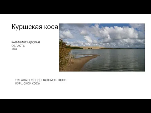 Куршская коса КАЛИНИНГРАДСКАЯ ОБЛАСТЬ 1987 ОХРАНА ПРИРОДНЫХ КОМПЛЕКСОВ КУРШСКОЙ КОСЫ