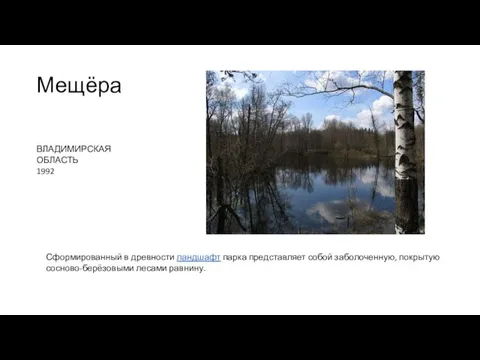 Мещёра ВЛАДИМИРСКАЯ ОБЛАСТЬ 1992 Сформированный в древности ландшафт парка представляет собой заболоченную, покрытую сосново-берёзовыми лесами равнину.