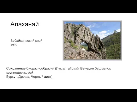 Алаханай Забайкальский край 1999 Сохранение биоразнообразия (Лук алтайский, Венерин башмачок крупноцветковой Буркут, Дрофа, Черный аист)