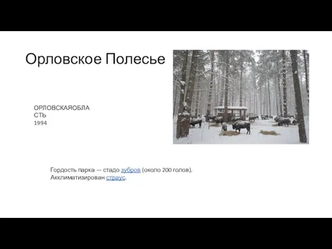 Орловское Полесье ОРЛОВСКАЯОБЛАСТЬ 1994 Гордость парка — стадо зубров (около 200 голов). Акклиматизирован страус.