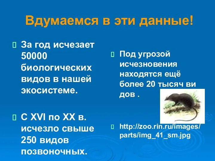 Вдумаемся в эти данные! За год исчезает 50000 биологических видов