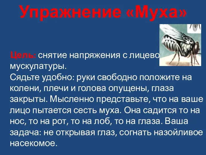 Упражнение «Муха» Цель: снятие напряжения с лицевой мускулатуры. Сядьте удобно: