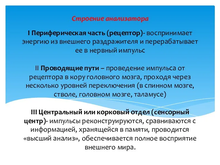 I Периферическая часть (рецептор)- воспринимает энергию из внешнего раздражителя и