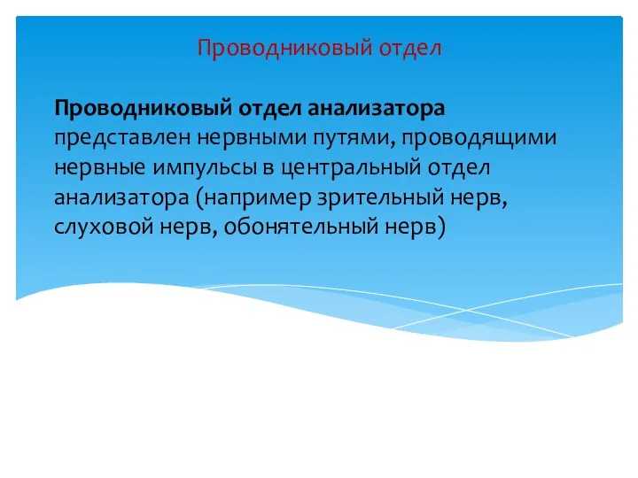 Проводниковый отдел анализатора представлен нервными путями, проводящими нервные импульсы в