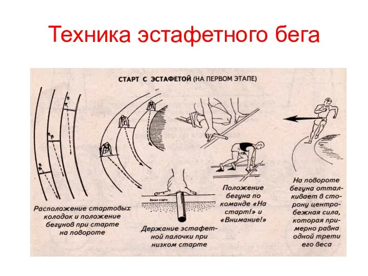 Техника эстафетного бега