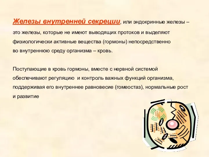 Железы внутренней секреции, или эндокринные железы – это железы, которые