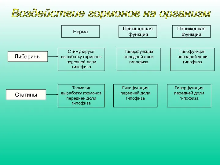 Либерины Статины Норма Повышенная функция Пониженная функция Стимулируют выработку гормонов