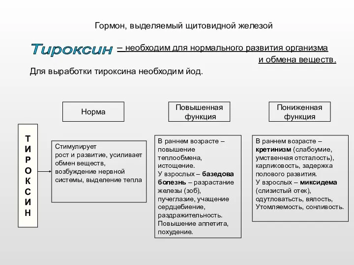 Гормон, выделяемый щитовидной железой – необходим для нормального развития организма