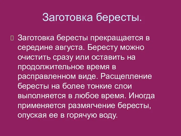 Заготовка бересты. Заготовка бересты прекращается в середине августа. Бересту можно очистить сразу или