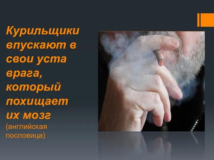 Курильщики впускают в свои уста врага, который похищает их мозг (английская пословица)