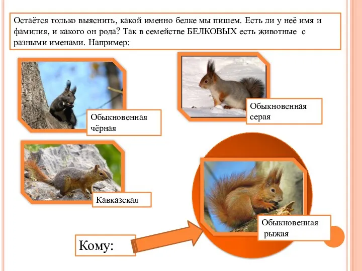 Остаётся только выяснить, какой именно белке мы пишем. Есть ли