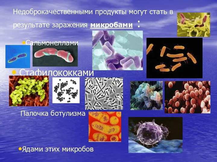 Недоброкачественными продукты могут стать в результате заражения микробами : Стафилококками Сальмонеллами Ядами этих микробов Палочка ботулизма