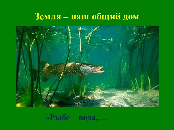 Земля – наш общий дом «Рыбе – вода,…