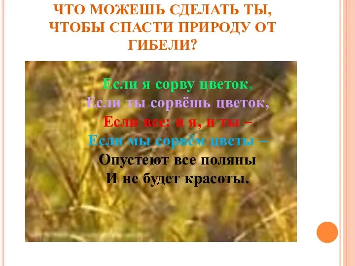 ЧТО МОЖЕШЬ СДЕЛАТЬ ТЫ, ЧТОБЫ СПАСТИ ПРИРОДУ ОТ ГИБЕЛИ? Если