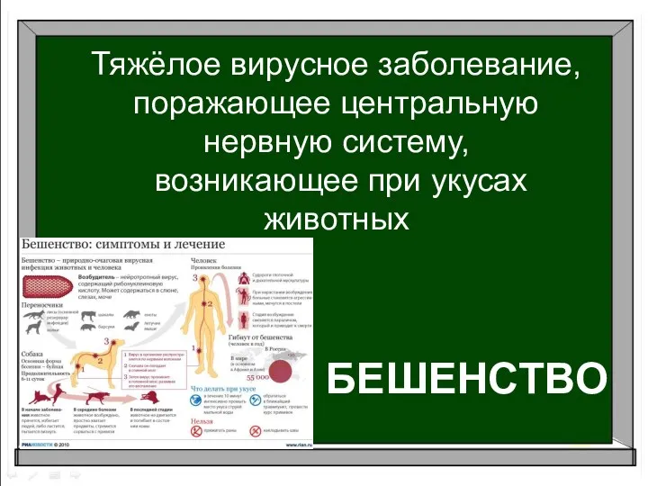 Тяжёлое вирусное заболевание, поражающее центральную нервную систему, возникающее при укусах животных БЕШЕНСТВО